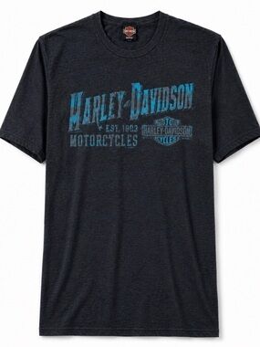 Harley Davidson 3XL Wild Prairie Eden Prairie MN Graphic T Shirt Motorcycle Tee